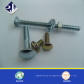 RoHS Grade 8.8 Galvanized Carriage Screw